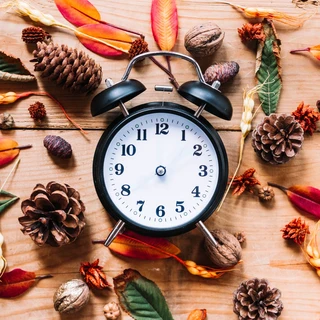 Pine Cones & Flowers Scenic Clock Dial